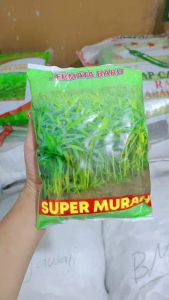 Benih Kangkung 1 Kg Super Murah Kemasan Pabrik