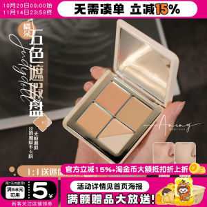 Multi-Color Concealing and Highlighting Palette