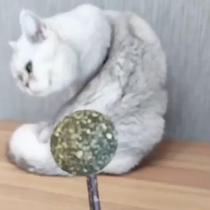 Mainan Kucing Interaktif Hewan - Lolipop Catnip Toys