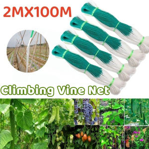 2M X 100M Plant Climbing Netting Nylon Flower Vine Support Rope Greenhouse Grow Fence Net Garden Tools