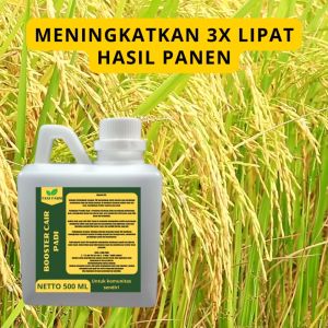 Pupuk Booster Padi: Cara Meningkatkan Kualitas dan Hasil Panen