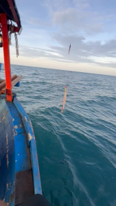 SOTELO SEAWOOD SQUID JIG/ CANDAT MAYAT/CANDAT SOTONG 4.0 (C143)