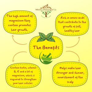 Hair Growth Booster Nuts | CandiLica Co. | Mixed Nuts for Rambut Sihat & Lebat | 250g/500g/1kg | High Zinc Biotin Protein | Ready Stock Malaysia