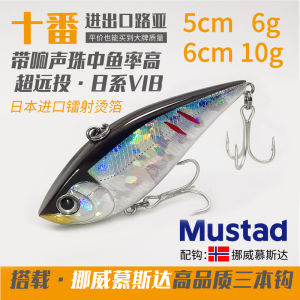 Plastic VIB with Ring Beads Japanese Style Lure Vibration Hard Bait Topmouth Culter Special Kill Sea Bass Widely Loved Black Pit God Bait