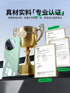 OnePlus Ace5 Snake Year Limited Edition Mirror Electroplated Glass Silicone Case Ultra Thin Full Cover Shockproof Heat Dissipation