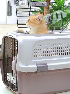 【Ready From SG】Pet Travel Carrier Pet Cargo Dog Cat Breathable Cages Sky Window Portable Cage Iron Bar Heavy-Duty Carrier