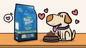 คลิฟิล์ ผสม อาหารสุนัข รอว์บูส สูง 2.72kg, อื่น ๆ เช่น ยาว ลด เคียง และ ขนาด ไม่มีธัญพืช หรือสัตว์ปีก