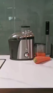 Stainless Steel Juice Extractor Stainless Steel Juice Extractor 1000W Heavy Duty Blender Mixer Juicer High Power Orange Juice Blender Machine