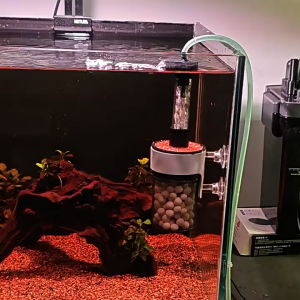 SG READY STOCK Efficient Fish Tank Filter Air Pump Driven Detachable Pneumatic Filter with Suction Cup Bacterial Culture