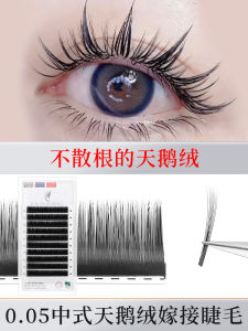 Velvet Single-Root Multi-Root Grafting Eyelashes Internet Celebrity SUNFLOWER Cartoon Thai Eyelash Salon Special round