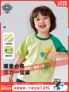 Summer Short Sleeve T-Shirt for Boys Pure Cotton Lightweight Half Sleeve Clothing Thin Fabric Cartoon Print round Neck Top