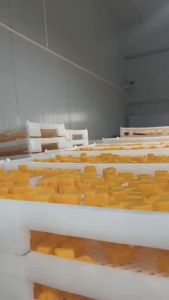 Kẹo Dẻo Sữa Chua Mix Vị Trái Cây Thơm Ngon Kẹo Sữa Chua Hoa Quả Đầy Đủ Hương Vị