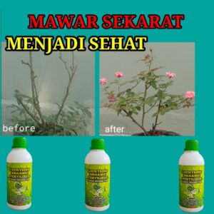 PUPUK ORGANIK FORMULA KHUSUS SEGALA TANAMAN