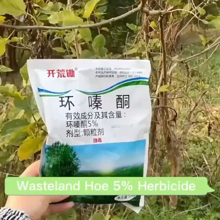 500g Tree killer chemical powder Hexazinone root removal kill tree and bamboo remover cycloazinone herbicide Kill plants