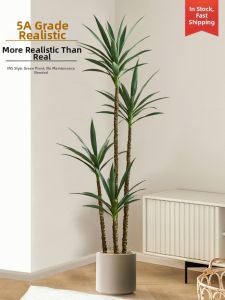 Realistic Decorative Indoor Large Floor Plant