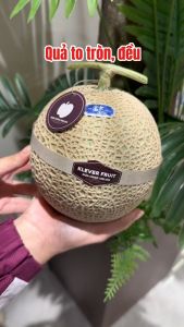 Dưa Giống Nhật Musk Melon - 01 quả - Klever Fruit