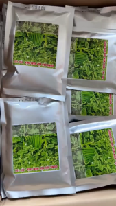 (Gói 500gr) Hạt Giống Đậu Bắp 5 Khía-THT 102 TÂN HIỆP THÀNH - Cây kháng bệnh virus rất tốt