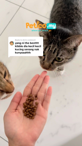 Kitchen Flavor Cat Grain Free 8kg Complete Food Dry Cat Food (Kitten/Adult Cat/Beauty)