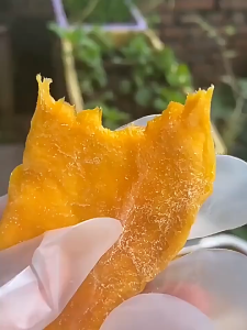 【Limited-Time Offer】Dried Mango Snack Dried Fruits Sweet/Spicy Mango Healthy Snacks