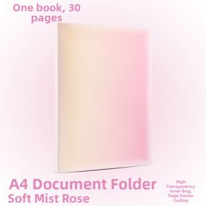 deli | Transparent Storage File Folders