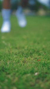 Sepatu Bola Apha Genesis FG Sepatu sepakbola dewasa Bisa COD