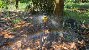 Que cắm gắn béc tưới 45cm Cây cắm béc phun sương phun mưa béc tưới cây  (béc G5 S2000 T700 SD9000.) Hệ thống phun mưa