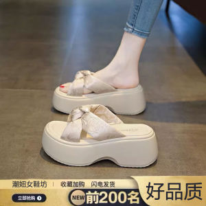Womens Thick Heel Sandals Summer Outdoor Wear Soft Bottom Platform Slippers High Heel Beach Shoes Comfortable Slip-On Sandals