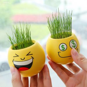 Mini Creative Child Planting Flower Pot