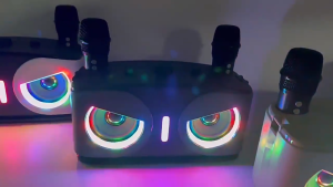 Wireless Bluetooth Speaker Dual Microphone Karaoke Home KTV Outdoor Speaker Subwoofer