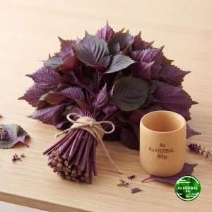 Daun jawer kotok daun iler segar 1 kg fresh-az