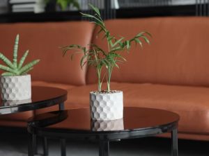 Chậu cây cảnh xi măng Cori Origami 3D hình trụ tròn 15x11.2cm  chậu trồng cây mini sen đá xương rồng cây mọng nước - chậu GiaThanhDecor