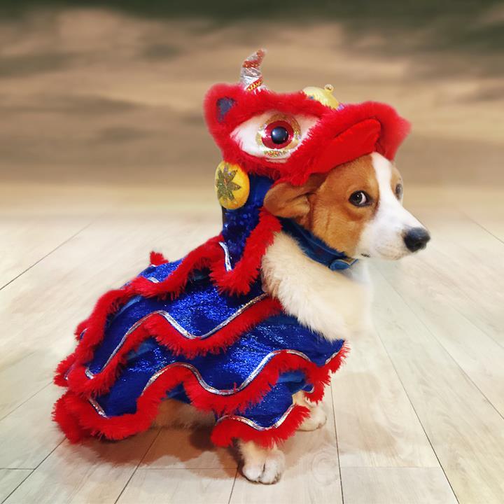 Chinese new year lion dog costume hotsell