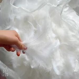 500-1000 Chiếc Tự Nhiên Lông Gà Lôi & Lông Gà Tây Lông Ngỗng Cho Áo Cưới Tự Làm Trang Sức Trang Trí Lông Tơ Phụ Kiện