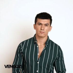 VENGOZ Kemeja Pria Slimfit - Vicente Stripe Dark Green LS