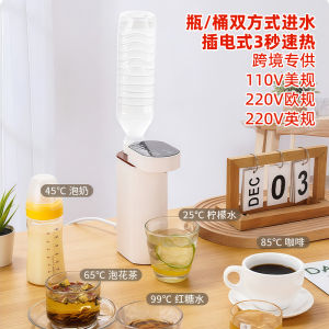 Portable Mini Quick Heating Drinking Water Machine Travel Taiwan Hong Kong 110V US Standard Desktop Water Dispenser