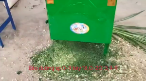 Máy băm cỏ voi cây ngô thái chuối lát . máy lắp mô tơ 2 nhựa