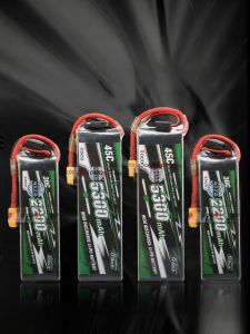 GESHI | Smart Lithium Rechargeable Battery RC Model
