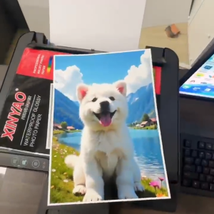 BINLU XINYAO A4 Waterproof Glossy Photo Paper 20 Sheets Premium Inkjet Printing Paper Fast Dry High Resolution for Epson Canon HP Printer School Projects ID Picture DIY Stickers Scrapbook Menu Flyer Manila Stock Ready To Ship