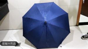 Bneall Elderly Crutch Umbrella Special Tungkod Walking Stick Long Umbrella with Anti-Slip Rubber.