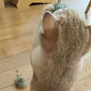 ของเล่นแมวหนูจําลอง ของเล่นสร้างเสียงเมาส์โยกนก ทนต่อการขีดข่วนและทนต่อการกัดของเล่นสัตว์เลี้ยงแบบโต้ตอบ-D22