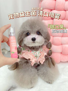 Laifeng Brother Pet Oral Spray Probiotic Dental Cleaning for Cats And Dogs Stain Removal Freshens Breath Pet Care Supplies