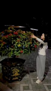 Đèn trang trí năng lượng mặt trời Hình bông hoa tích kiệm điện bóng siêu sáng chống thấm nước - DA3128