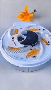 máy bắt ruồi tự động