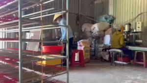 Nhang sạchkhói nhang không chứa các thành phần độc hại đảm bảo an toàn sức khỏe cho người sử dụng