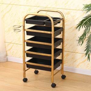 BABEDUO 5 Layers barber shop tools Salon Trolley Hair Cut Accessories Storage Holder Gold