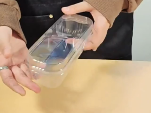 50pcs Cake Container 300ML Rectangle Loaf Deli Clear with Cover