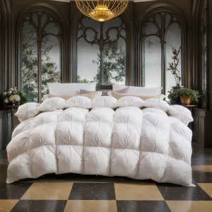 FUANNA (富安娜) | All-Season & Winter Warmth Goose Down Comforter 95% White Goose Down