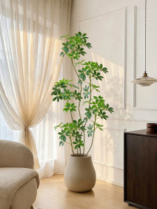 High-End Imitation Areca Palm Artificial Plant Decorative Indoor Display