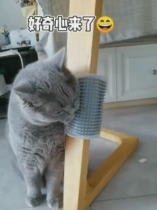[COD]Sikat Sisir Kucing Sudut Tempel Free Catnip Self Grooming Cat Penggaruk Gosok Badan Gatal Brush Tool Groomer Perlengkapan Hewan | pembersih bulu kucing | sisir bulu kucing