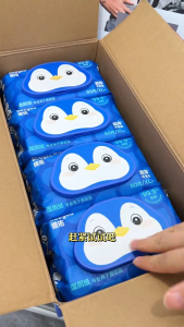 Deeyeo Flushable Toilet Wipes Extra-Large Wet Wipes 80wipes/pack Toilet Paper for Whole Family